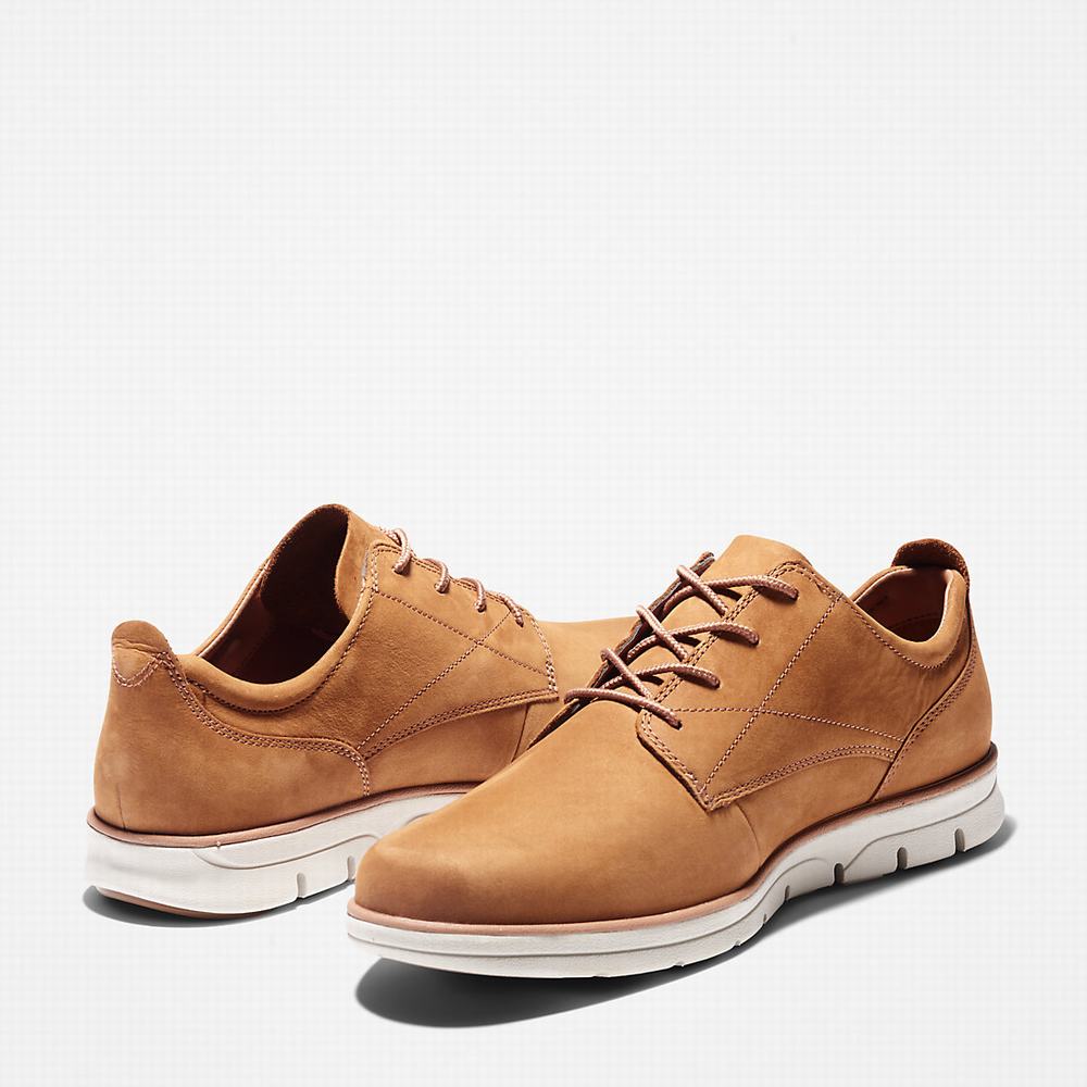 Tenisky Timberland Bradstreet Panske Hnede | EK7391045