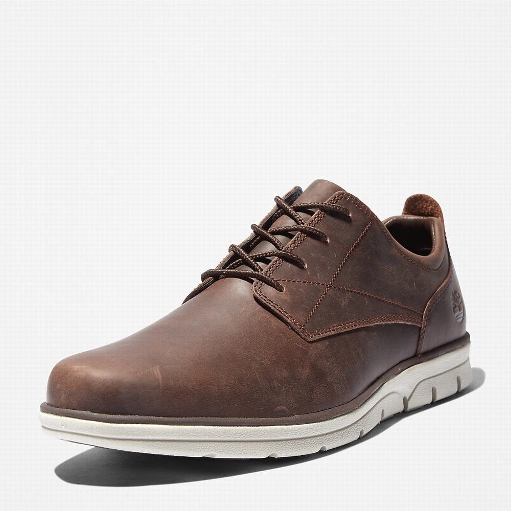 Tenisky Timberland Bradstreet Panske Tmavo Hnede | NS8193240