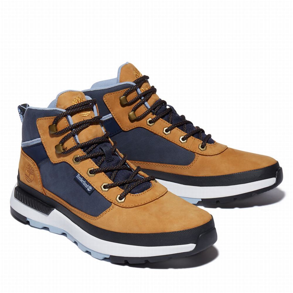 Tenisky Timberland Field Trekker Panske Hnede | LD1476039