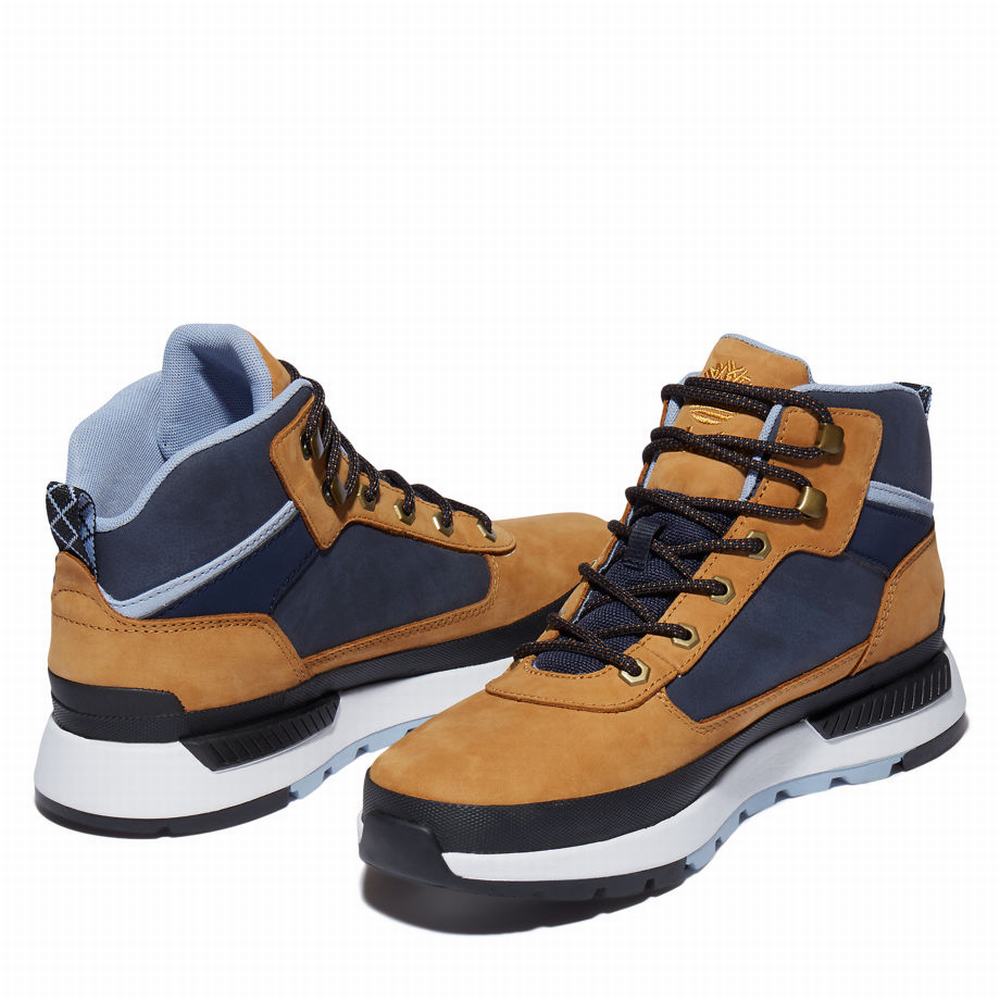 Tenisky Timberland Field Trekker Panske Hnede | LD1476039