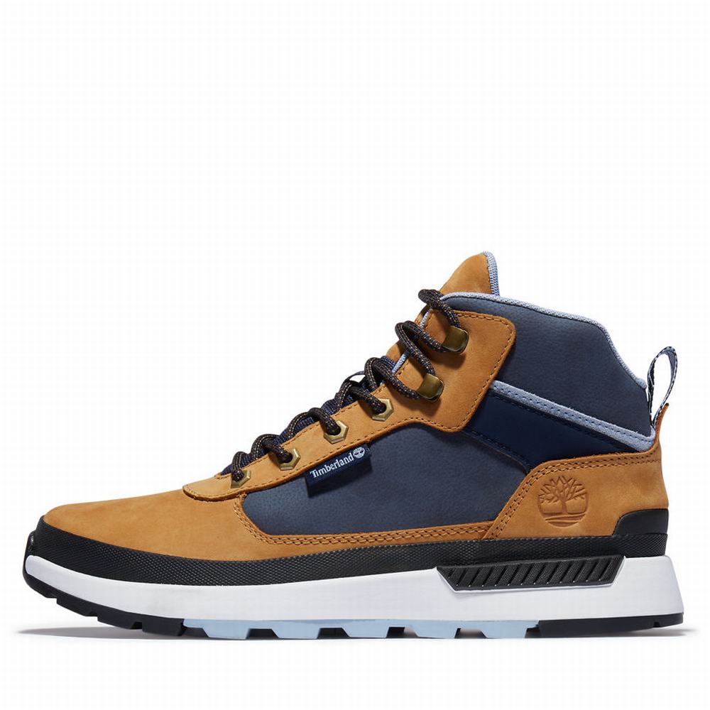 Tenisky Timberland Field Trekker Panske Hnede | LD1476039