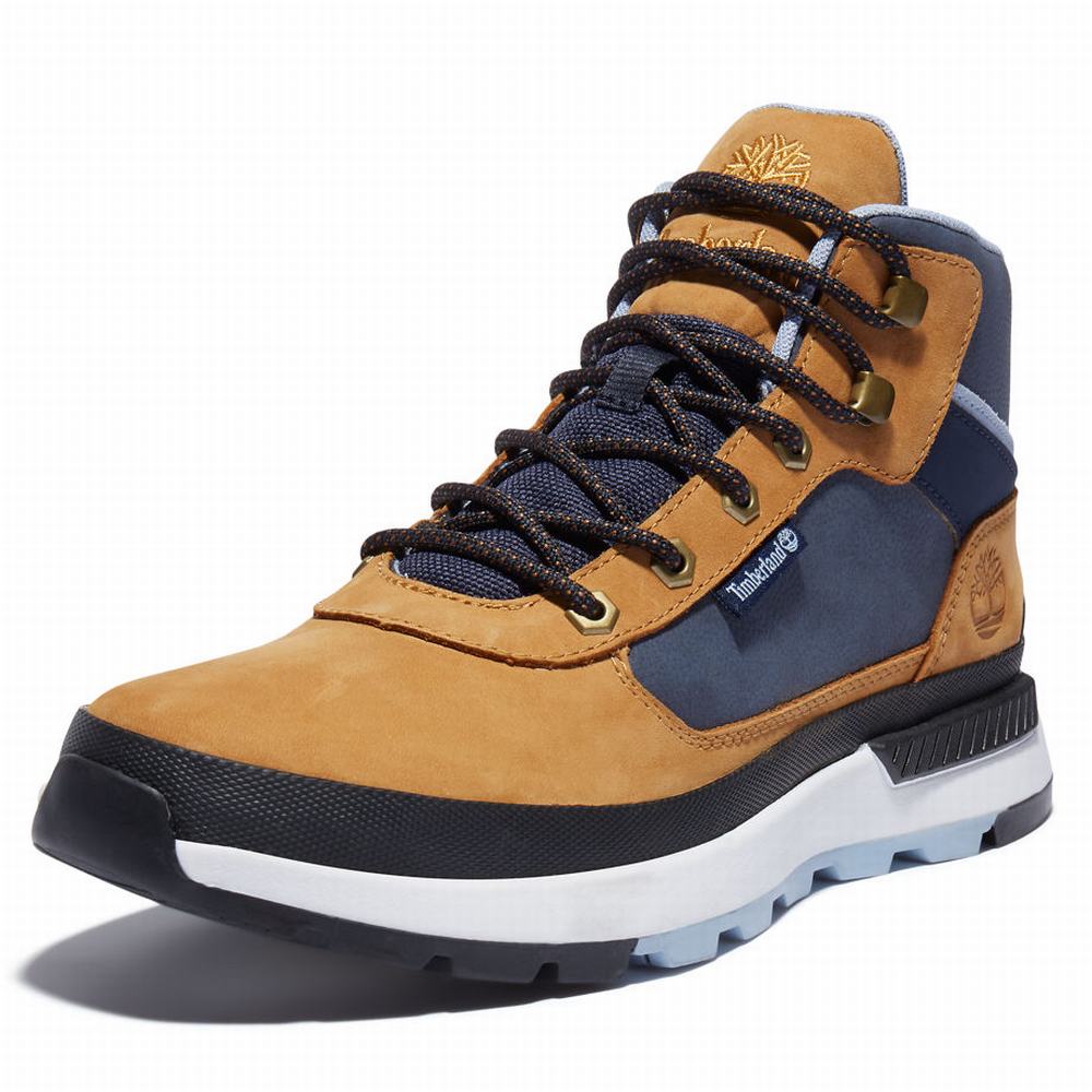 Tenisky Timberland Field Trekker Panske Hnede | LD1476039