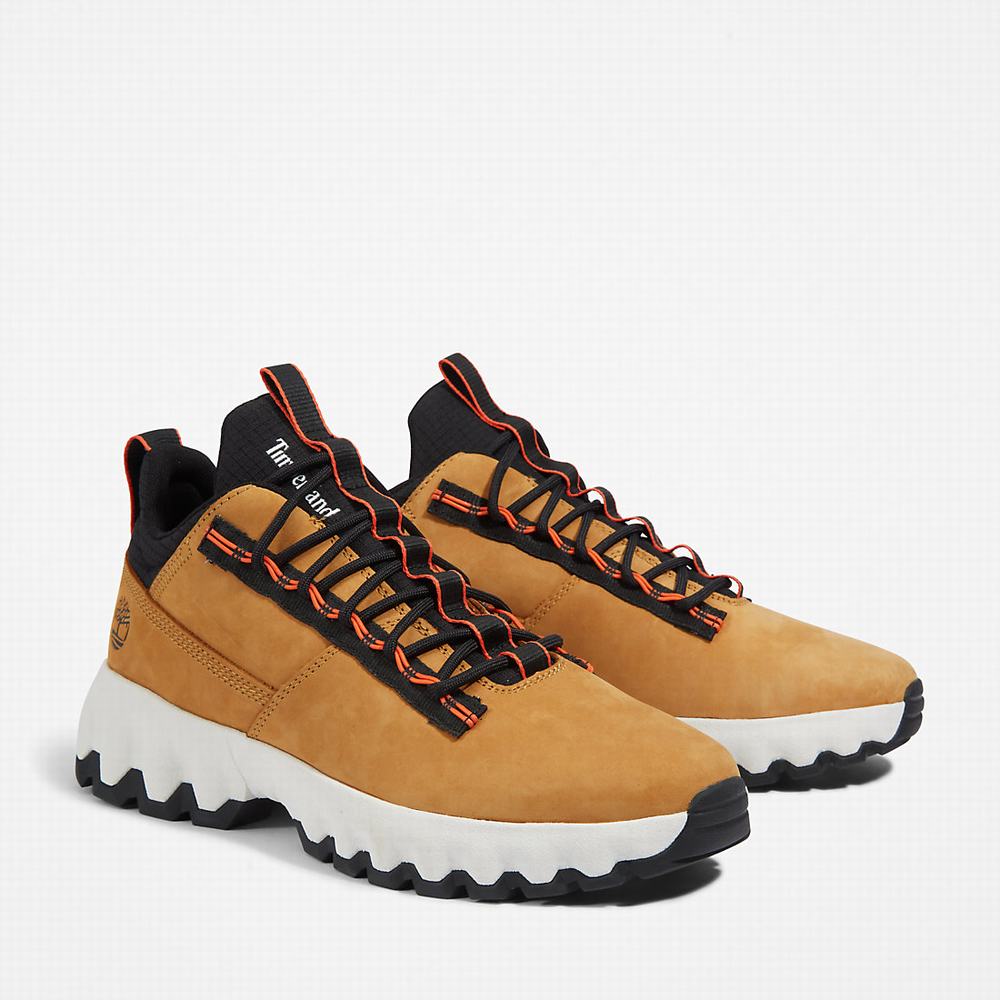 Tenisky Timberland GreenStride™ Edge Panske Žlté | CF7138025