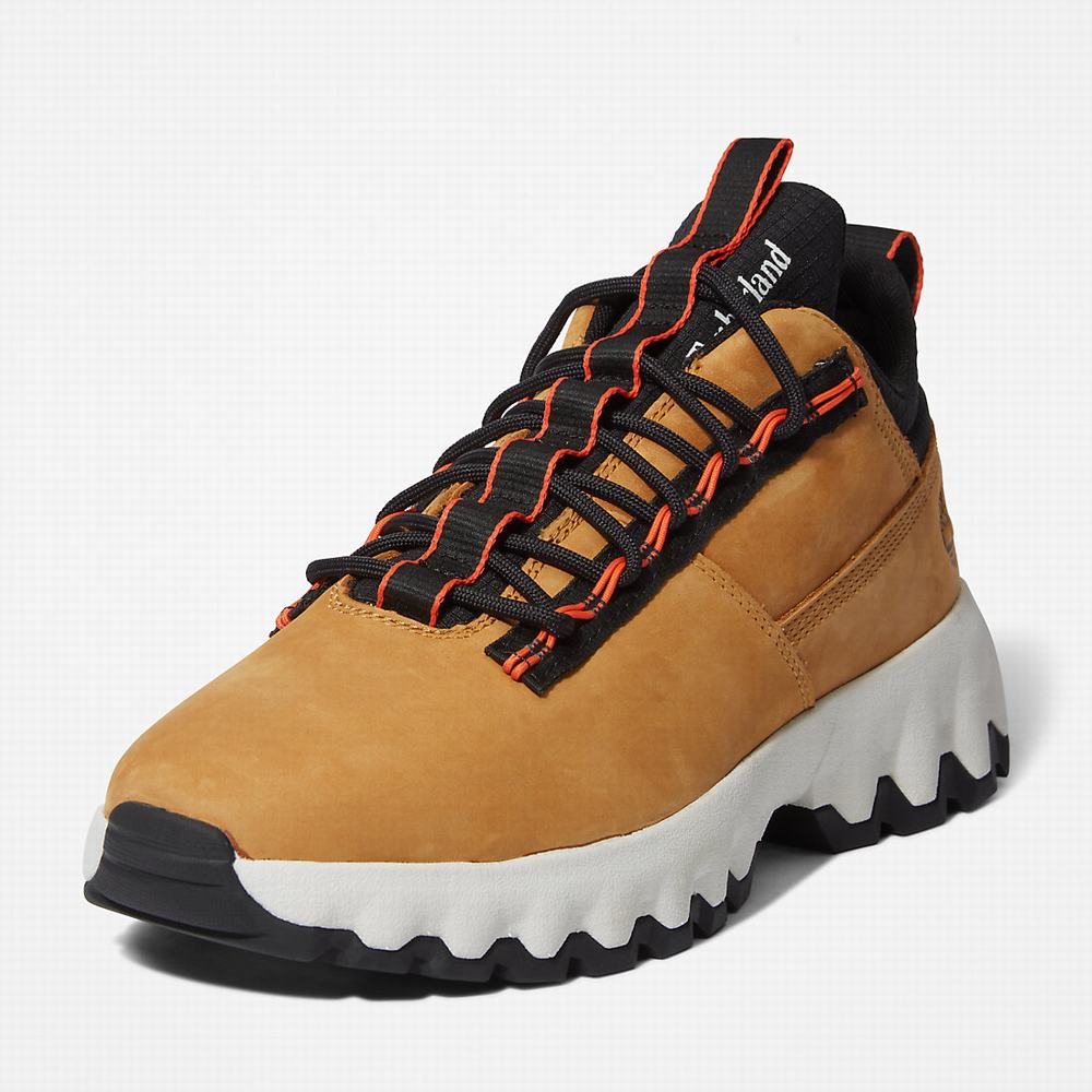 Tenisky Timberland GreenStride™ Edge Panske Žlté | CF7138025