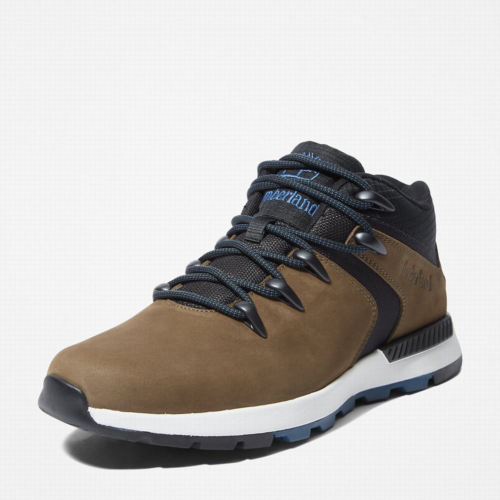 Tenisky Timberland Sprint Trekker Super Oxford Panske Hnede | GY8490512