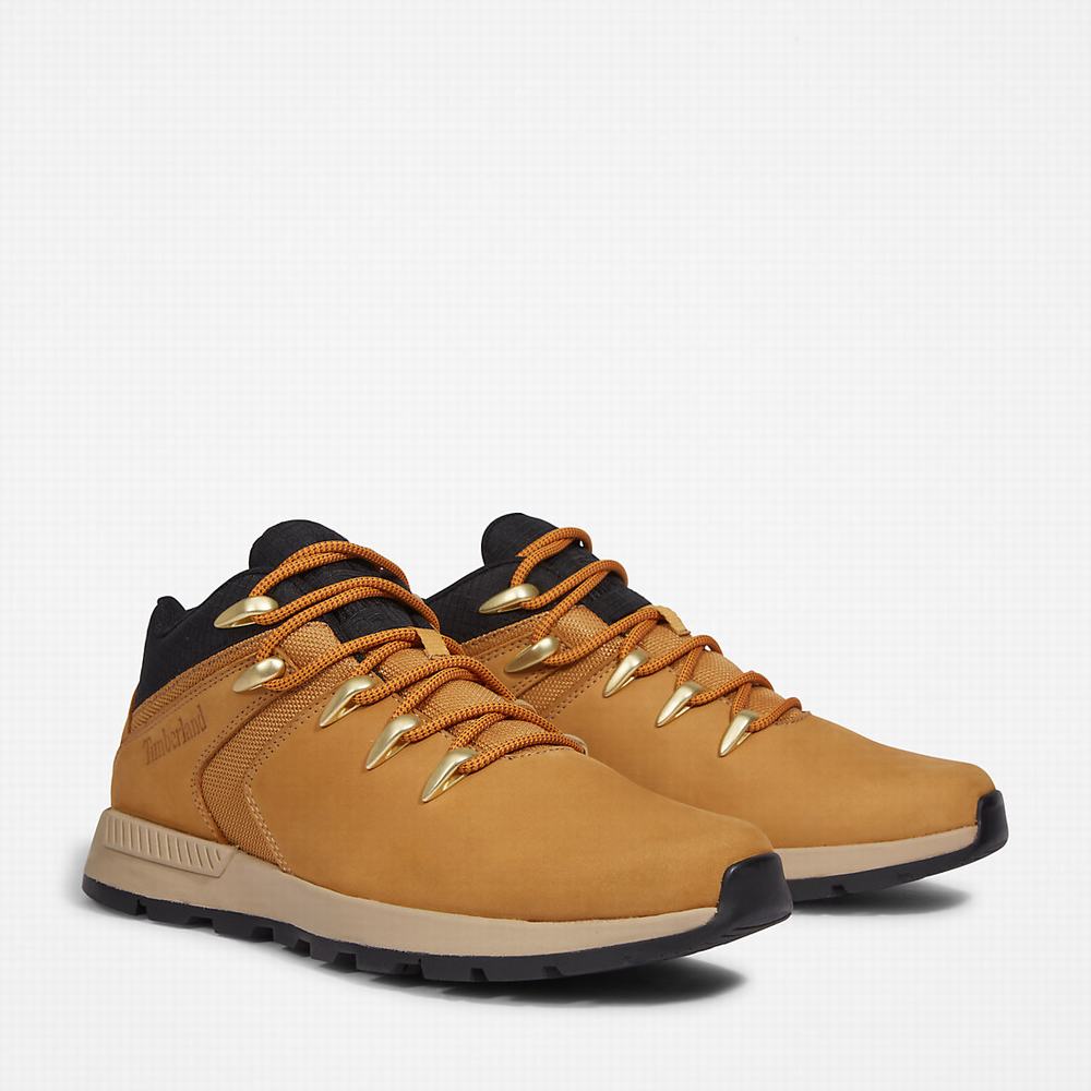 Tenisky Timberland Sprint Trekker Super Oxford Panske Svetlo Hnede | SG5829147