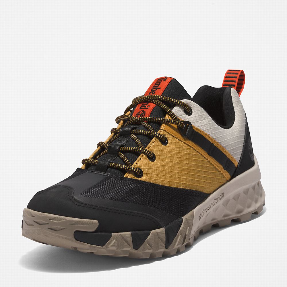 Tenisky Timberland Trailquest Panske Čierne | ZM4987632