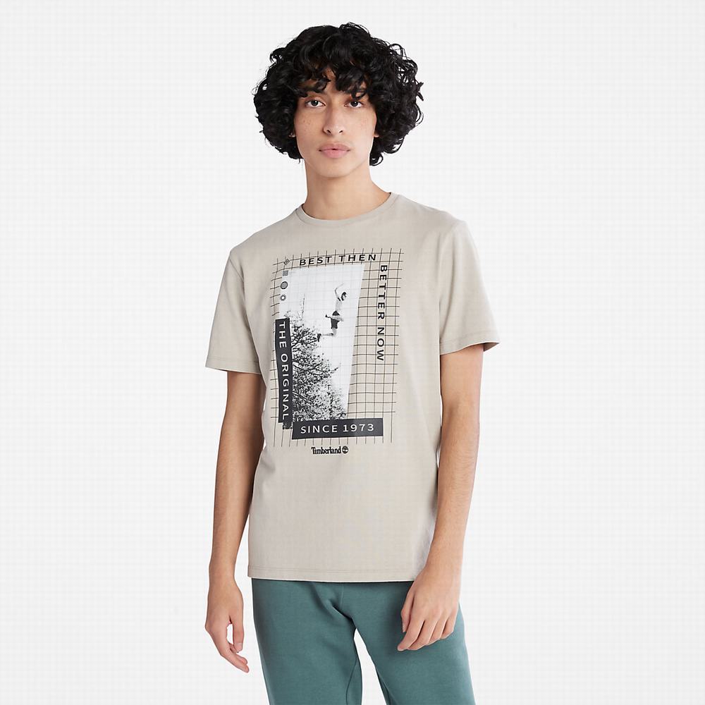 Tricko Timberland All Gender Heavyweight Front-Graphic T-Shirt Panske Svetlo Siva | AY0285491