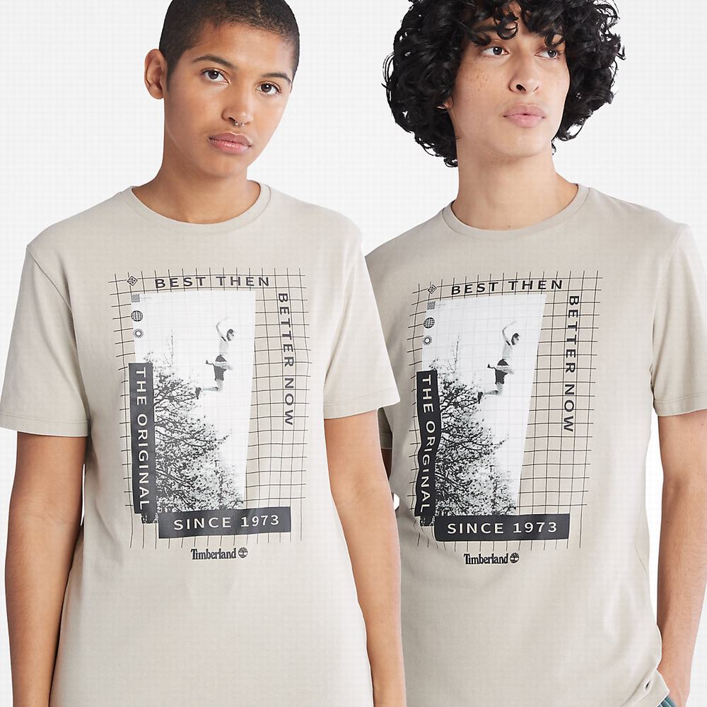 Tricko Timberland All Gender Heavyweight Front-Graphic T-Shirt Panske Svetlo Siva | AY0285491