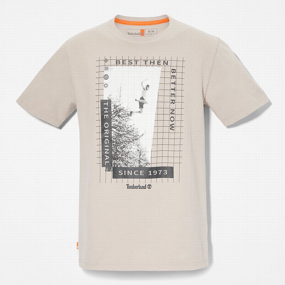 Tricko Timberland All Gender Heavyweight Front-Graphic T-Shirt Panske Svetlo Siva | AY0285491