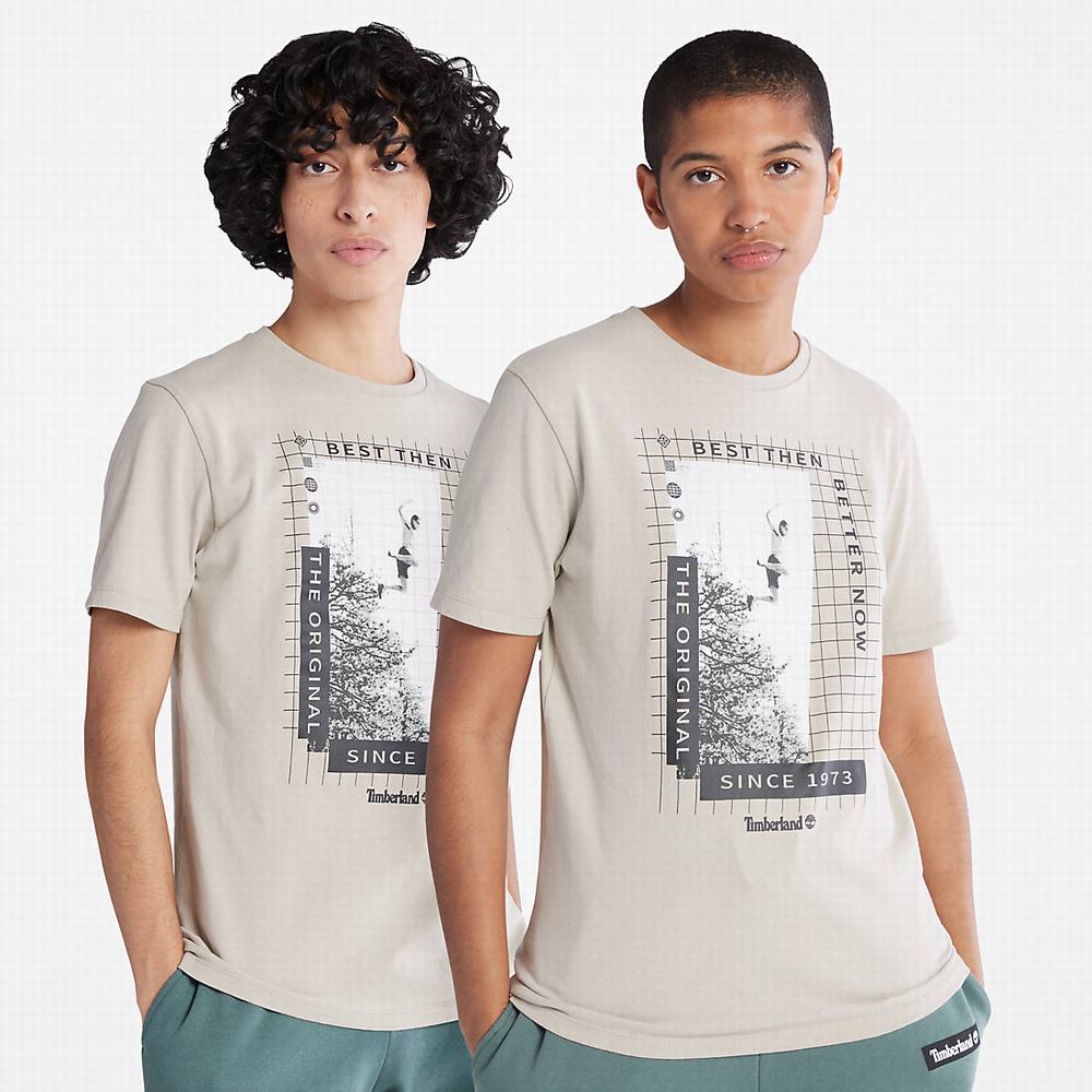 Tricko Timberland All Gender Heavyweight Front-Graphic T-Shirt Panske Svetlo Siva | AY0285491