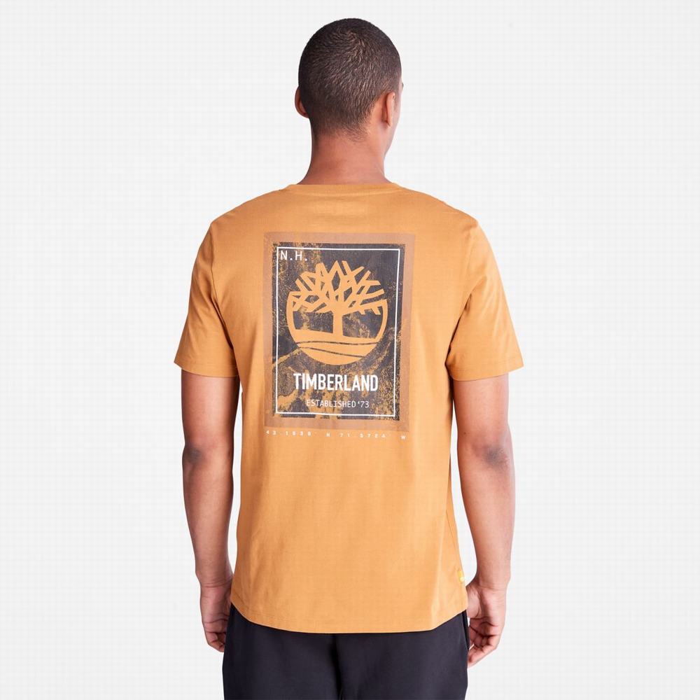 Tricko Timberland Back-Graphic T-Shirt Panske Hnede | NA0287935