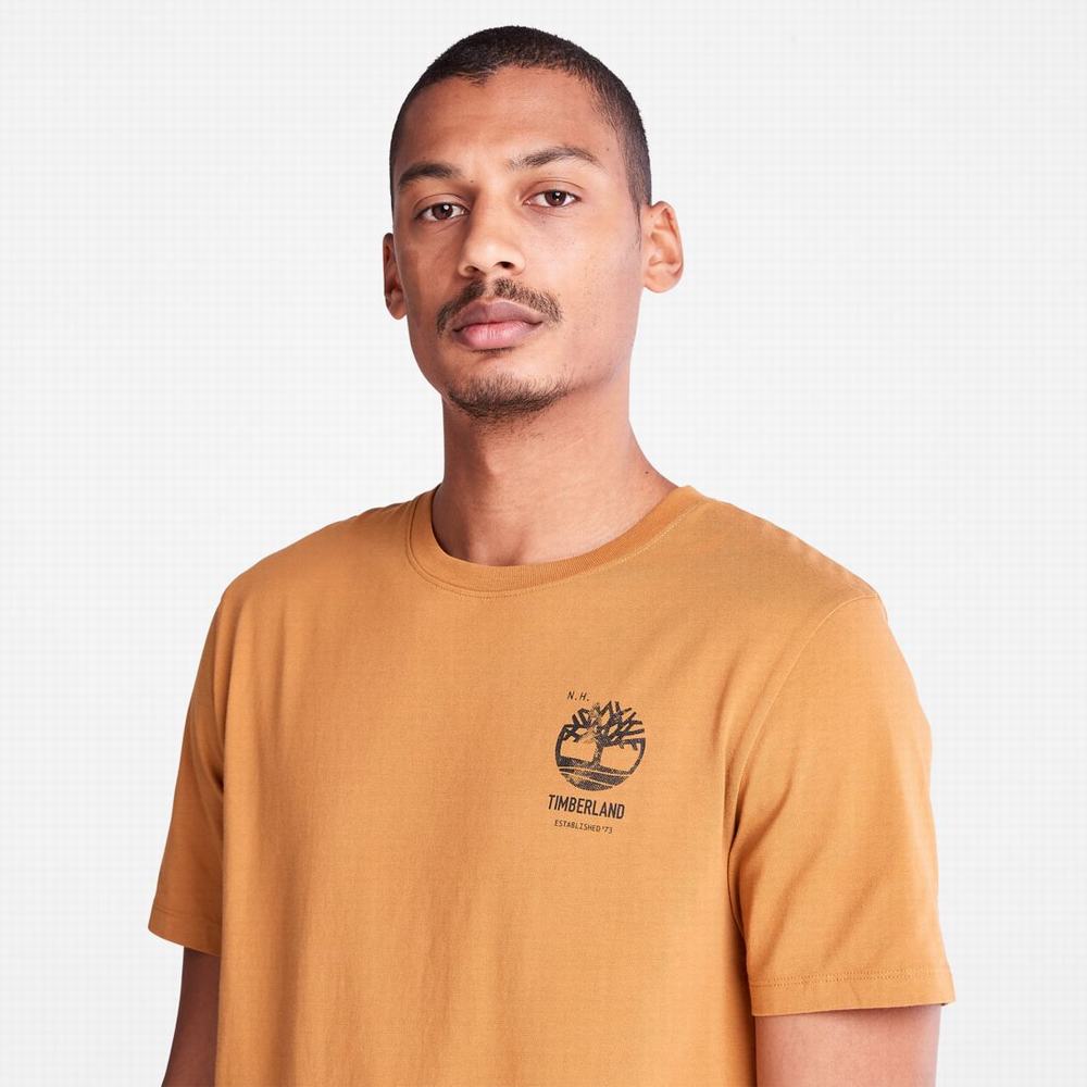 Tricko Timberland Back-Graphic T-Shirt Panske Hnede | NA0287935