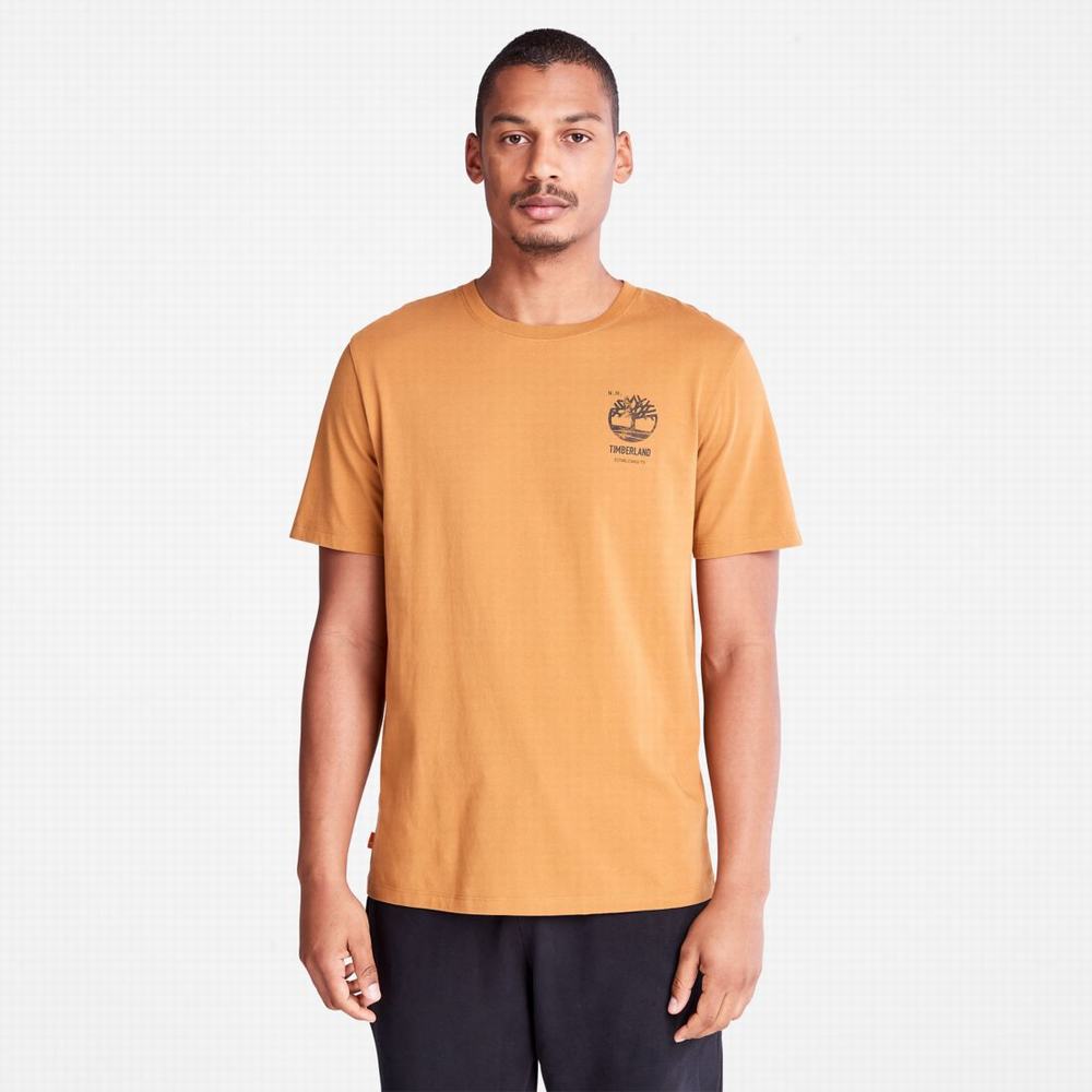 Tricko Timberland Back-Graphic T-Shirt Panske Hnede | NA0287935