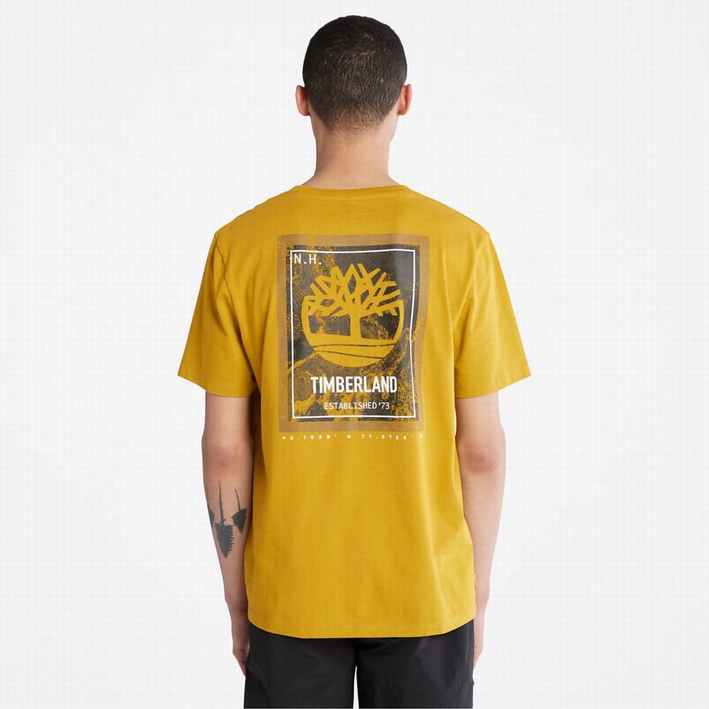 Tricko Timberland Back-Graphic T-Shirt Panske Horčica Biela | XE7891506