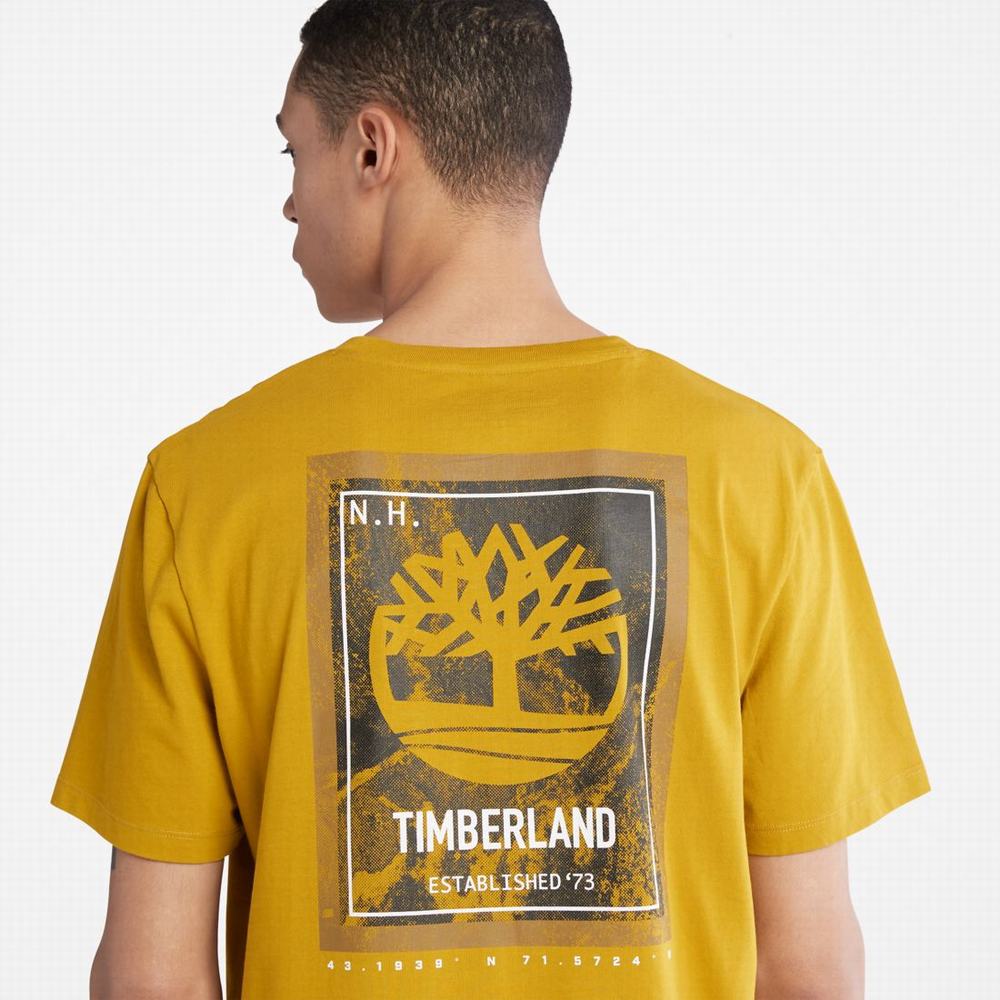 Tricko Timberland Back-Graphic T-Shirt Panske Horčica Biela | XE7891506