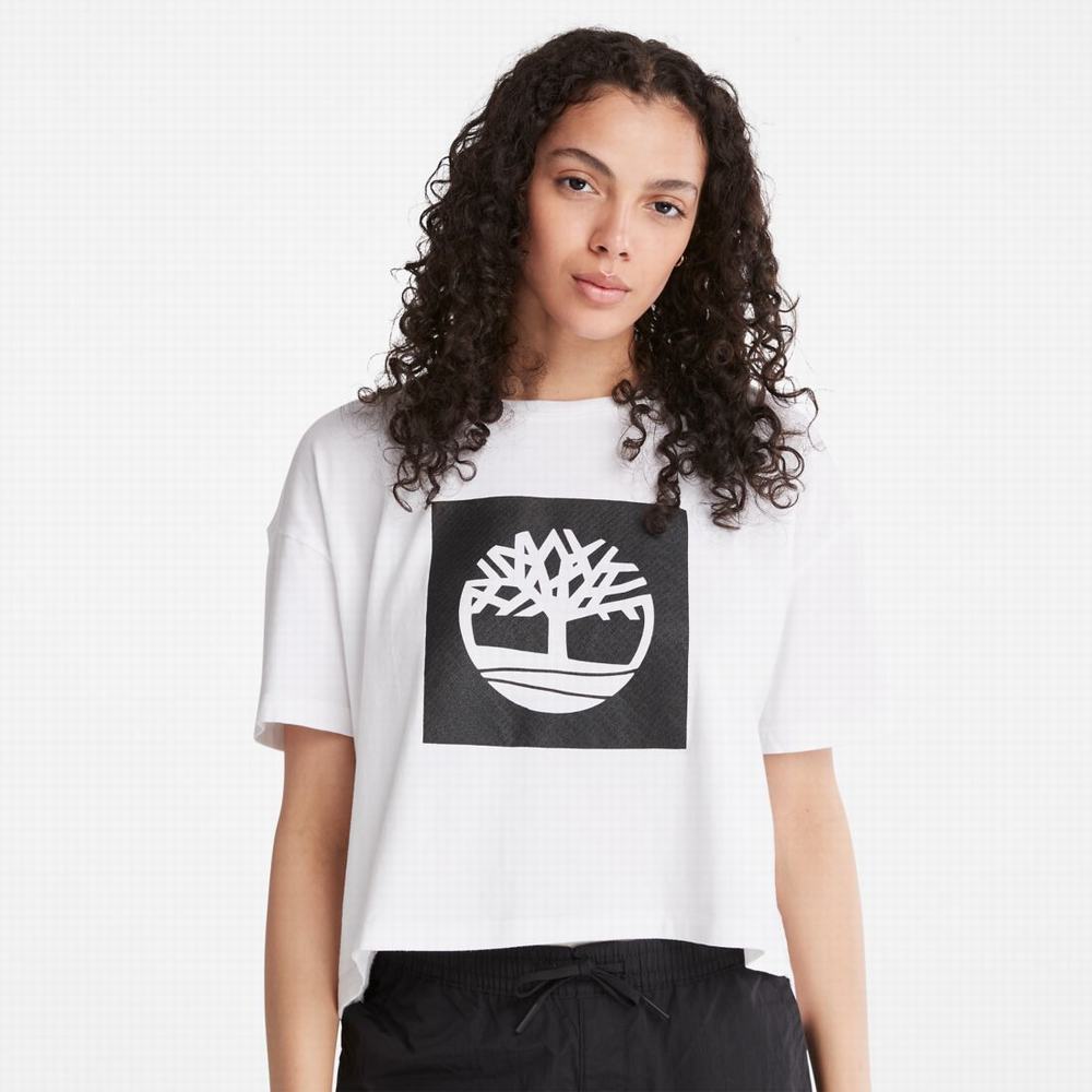 Tricko Timberland Cropped Logo T-Shirt Damske Biele | BG0678419