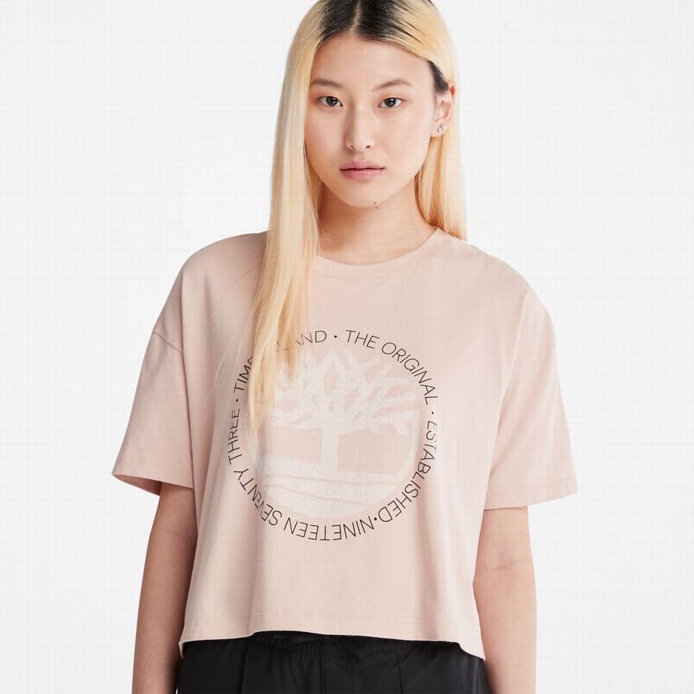 Tricko Timberland Cropped Logo T-Shirt Damske Ruzove | RG4729051