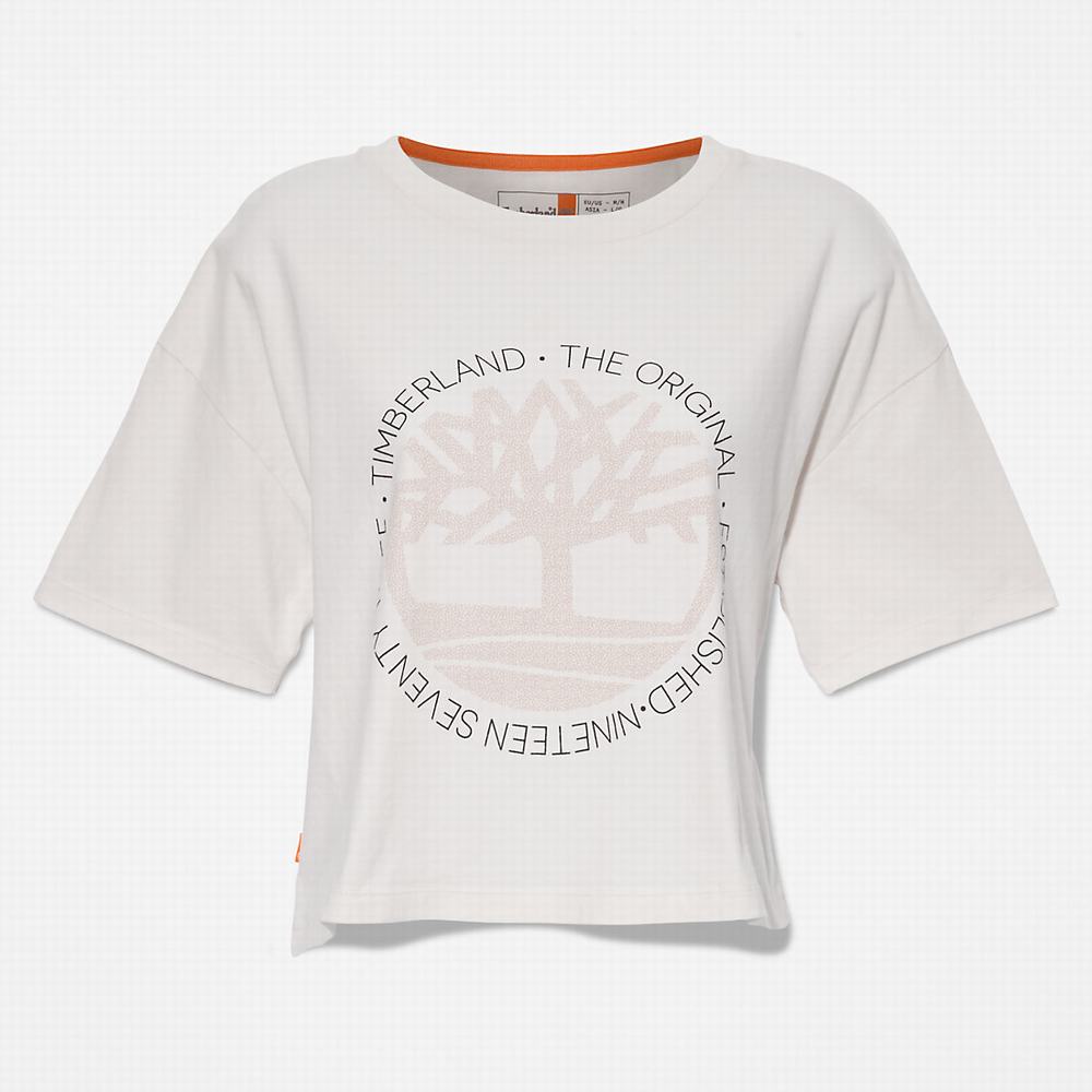 Tricko Timberland Cropped Logo T-Shirt Damske Biele | RM2348716