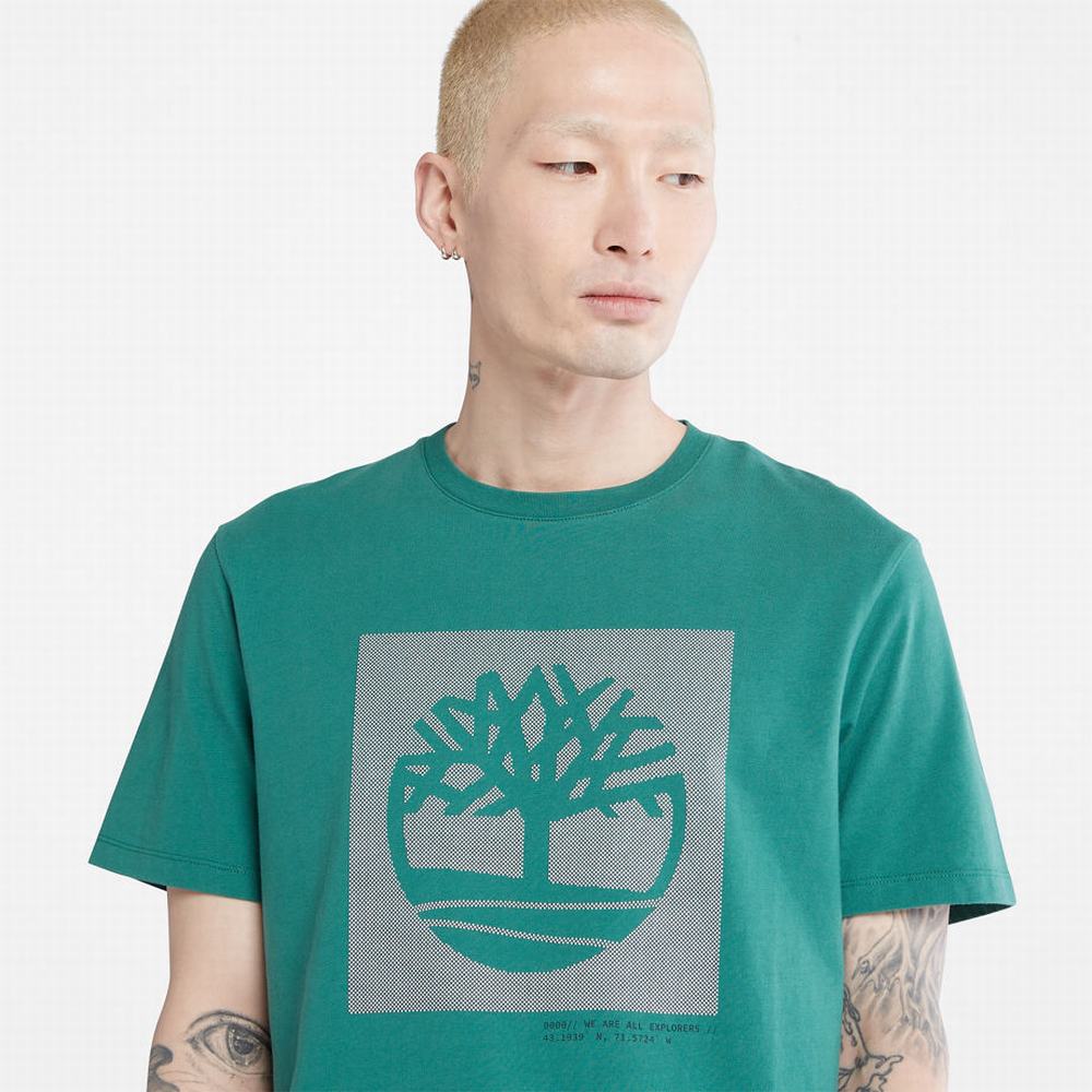 Tricko Timberland Dotted Tree-logo T-Shirt Panske Zelene | KT3105267