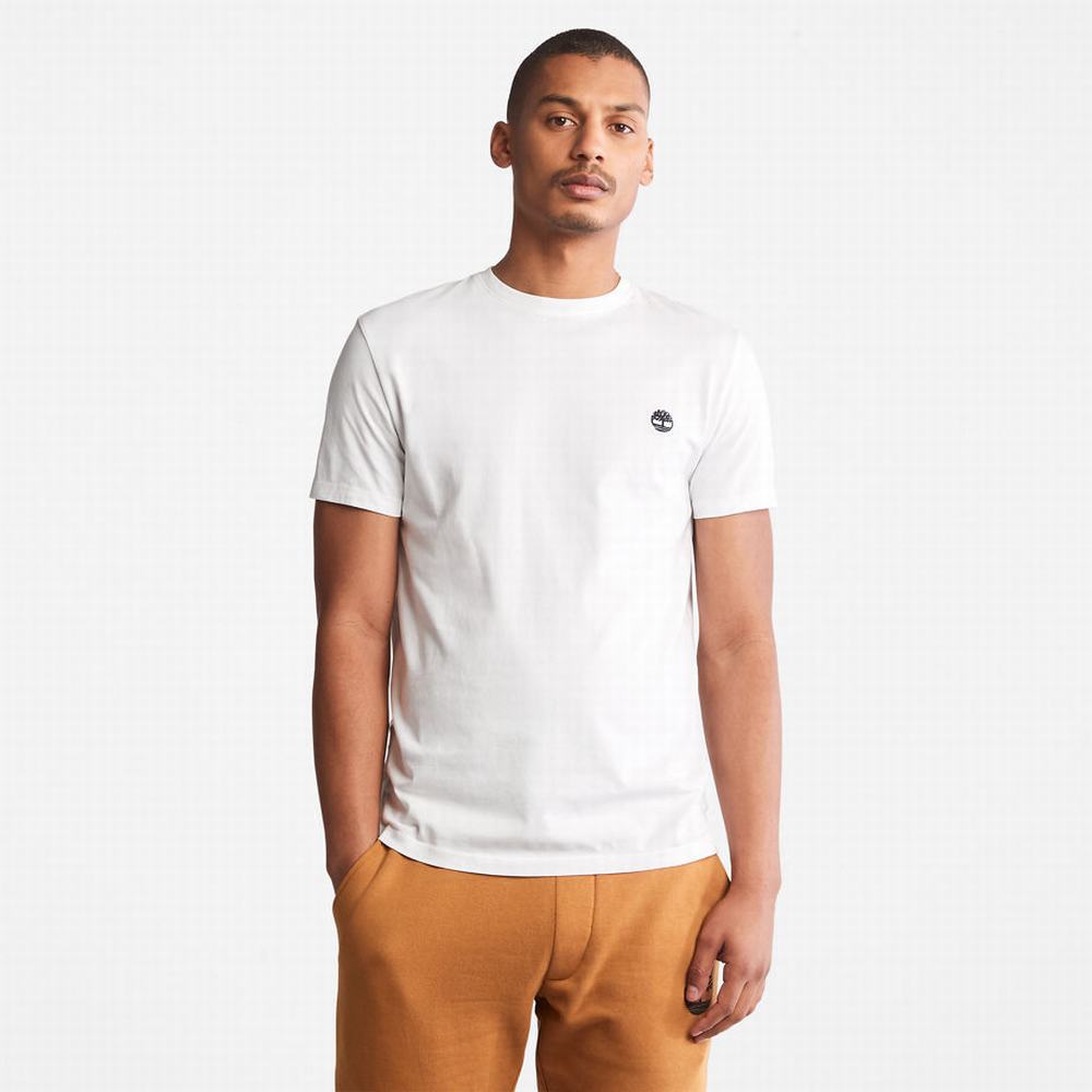 Tricko Timberland Dunstan River Crew Tee Panske Biele | TF5617843