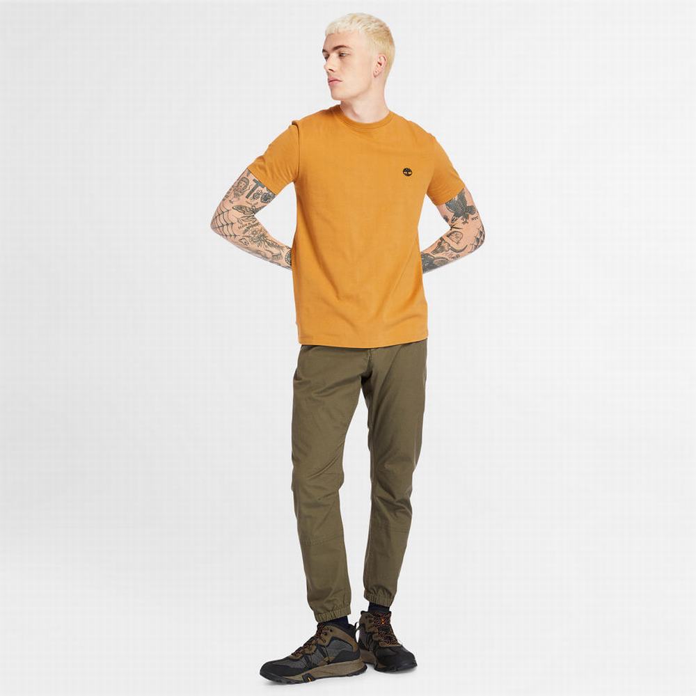 Tricko Timberland Dunstan River Crew Tee Panske Žlté | YW2608594