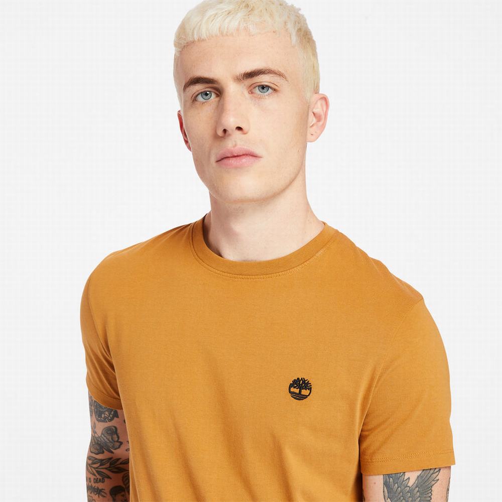 Tricko Timberland Dunstan River Crew Tee Panske Žlté | YW2608594