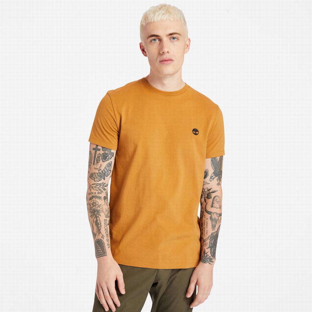 Tricko Timberland Dunstan River Crew Tee Panske Žlté | YW2608594