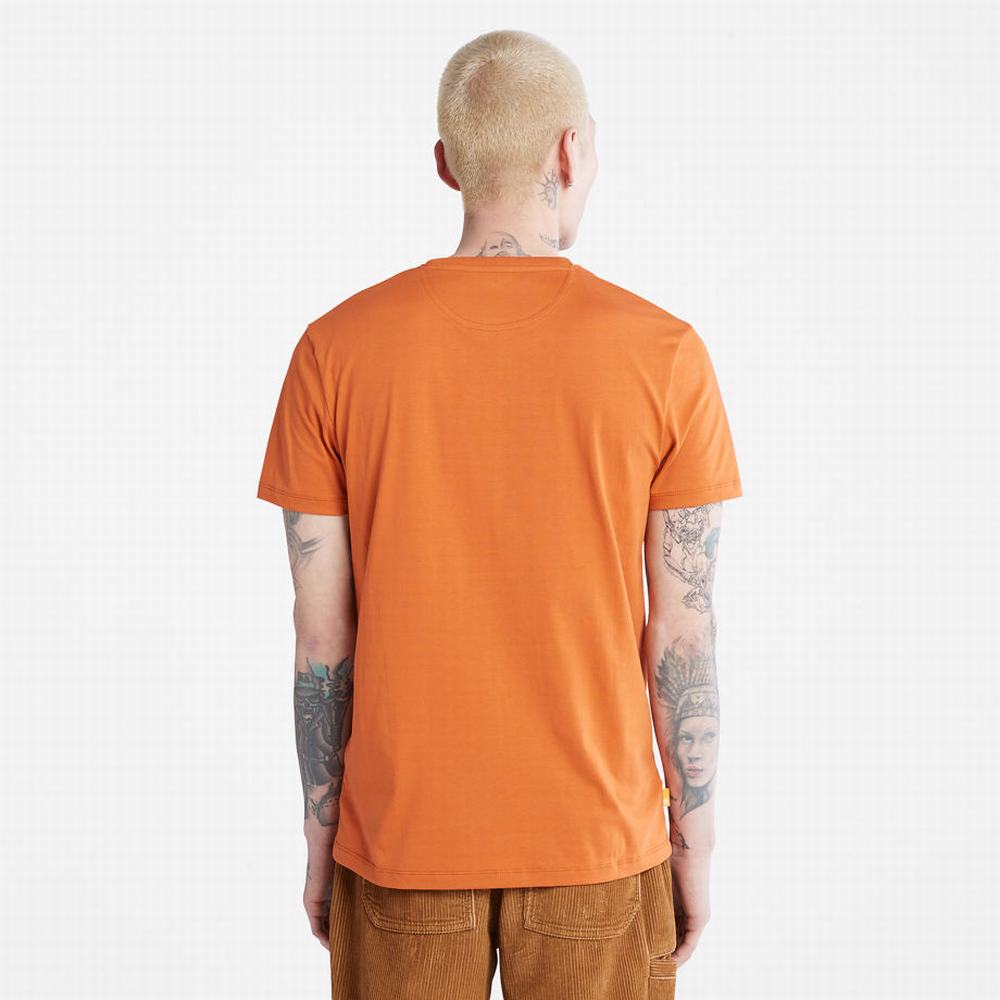 Tricko Timberland Dunstan River Crewneck T-Shirt Panske Oranžové | BZ4078931