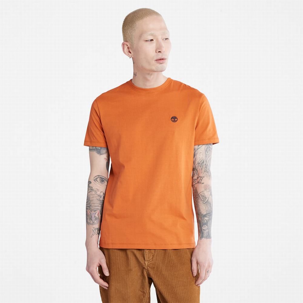 Tricko Timberland Dunstan River Crewneck T-Shirt Panske Oranžové | BZ4078931