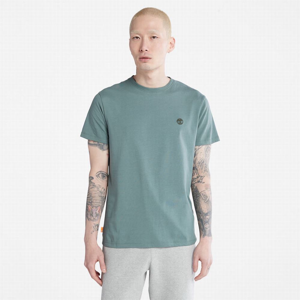 Tricko Timberland Dunstan River Crewneck T-Shirt Panske Zelene | XO2431698