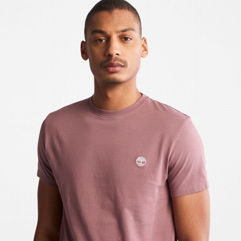 Tricko Timberland Dunstan River T-Shirt Panske Ruzove | CX5736180