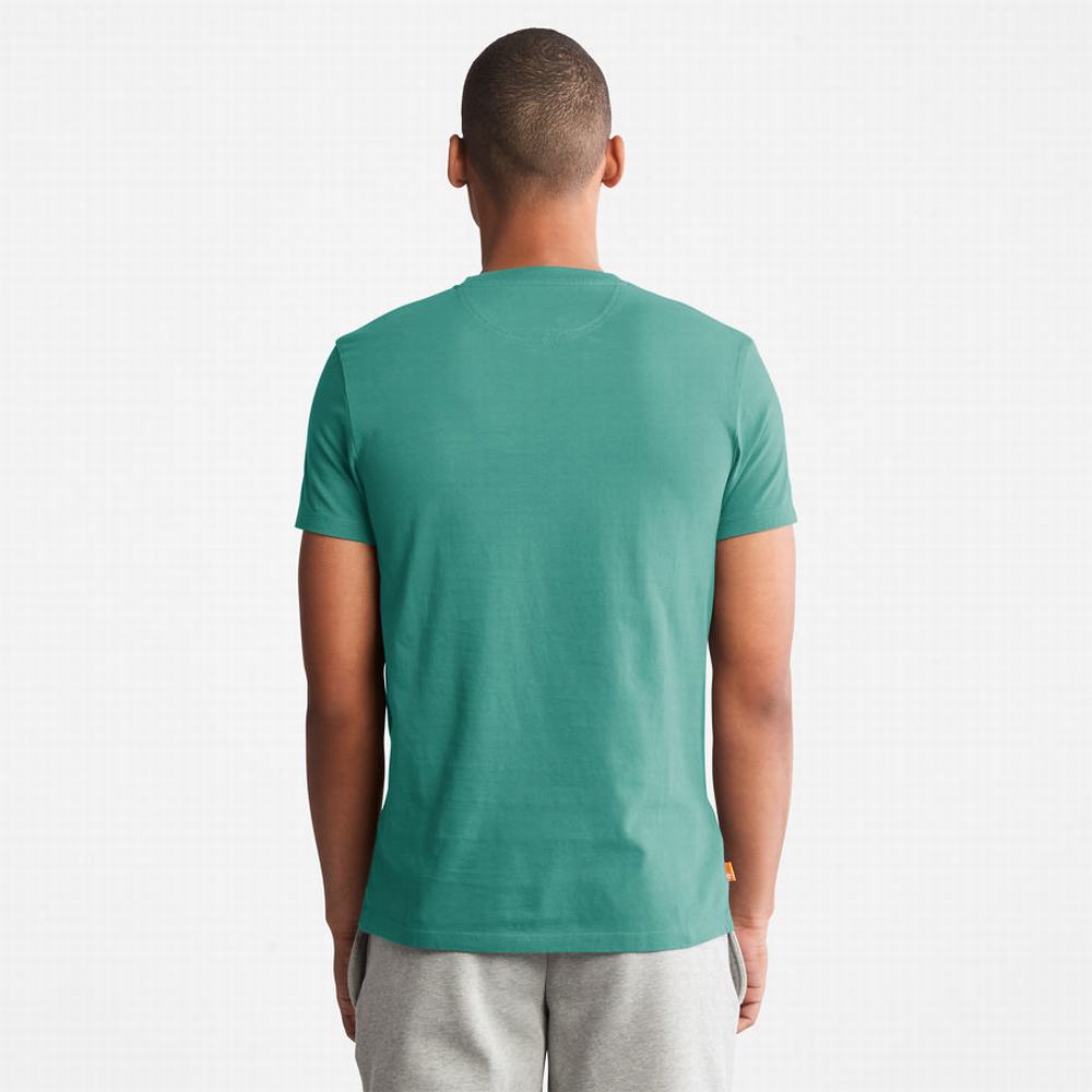 Tricko Timberland Dunstan River T-Shirt Panske Zelene | GZ5836041