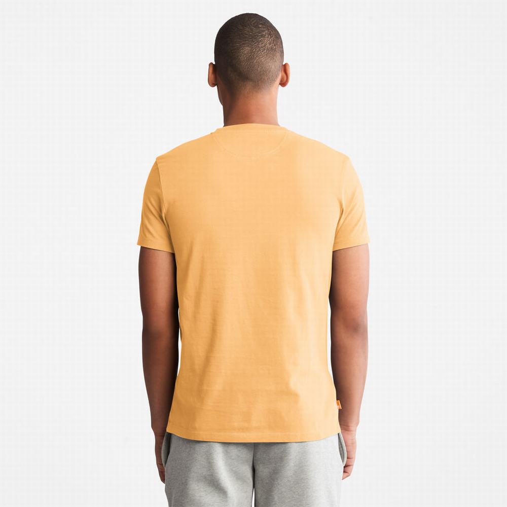 Tricko Timberland Dunstan River T-Shirt Panske Žlté | PF6892154