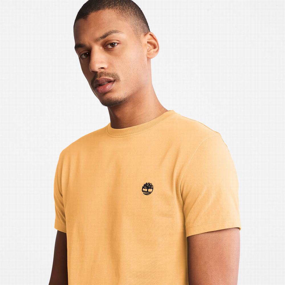 Tricko Timberland Dunstan River T-Shirt Panske Žlté | PF6892154