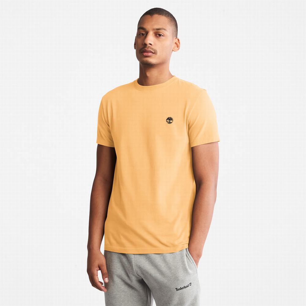 Tricko Timberland Dunstan River T-Shirt Panske Žlté | PF6892154