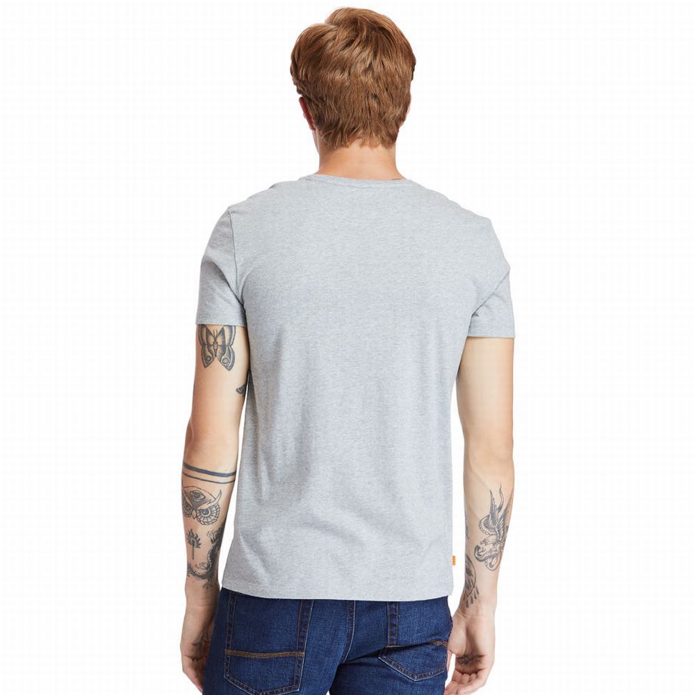 Tricko Timberland Dunstan River V-Neck T-Shirt Panske Siva | FD6031798