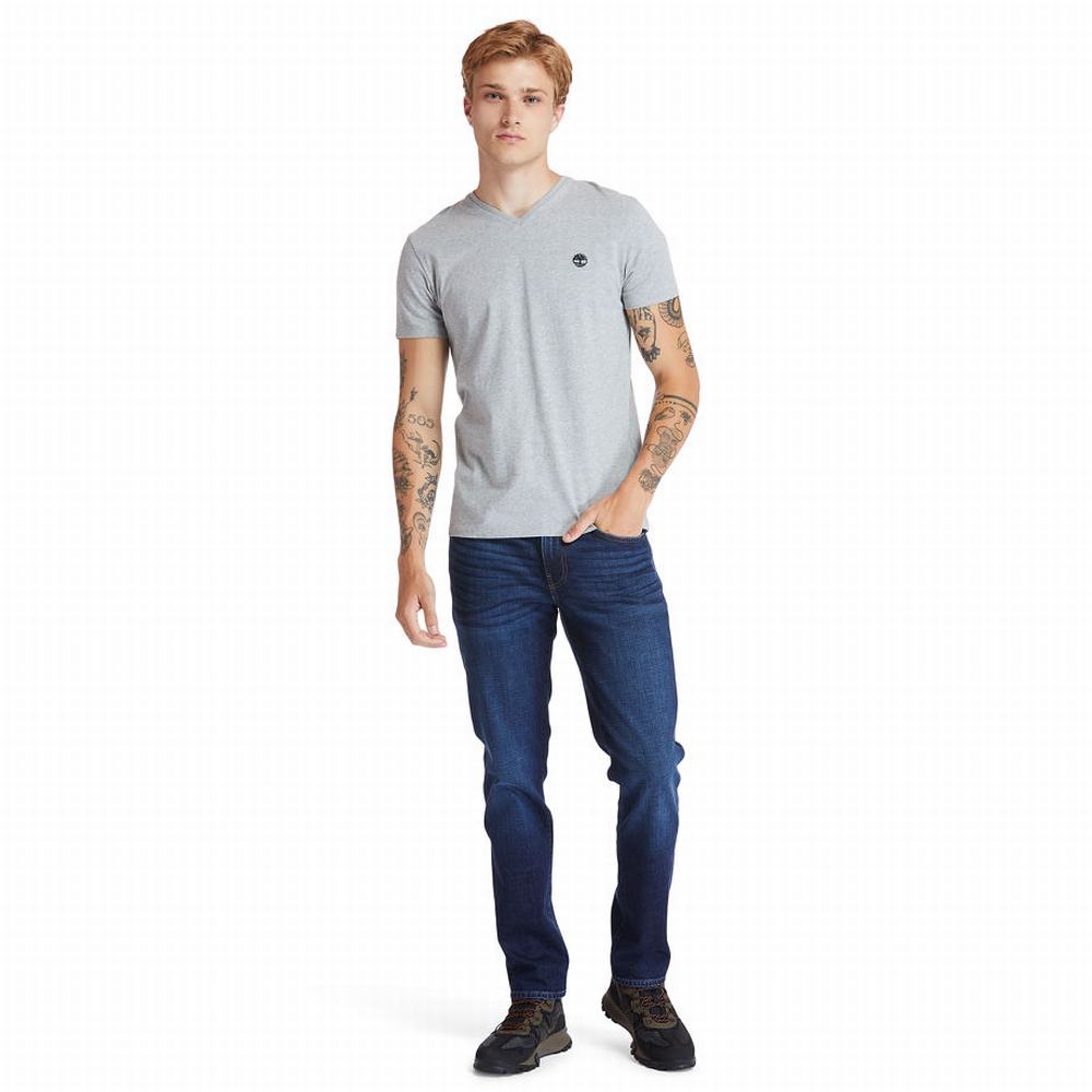 Tricko Timberland Dunstan River V-Neck T-Shirt Panske Siva | FD6031798