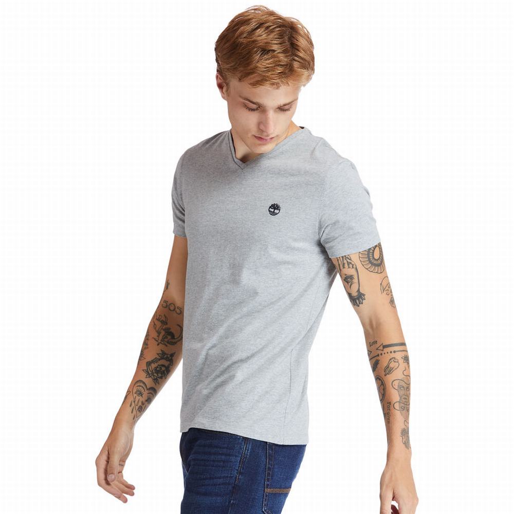 Tricko Timberland Dunstan River V-Neck T-Shirt Panske Siva | FD6031798