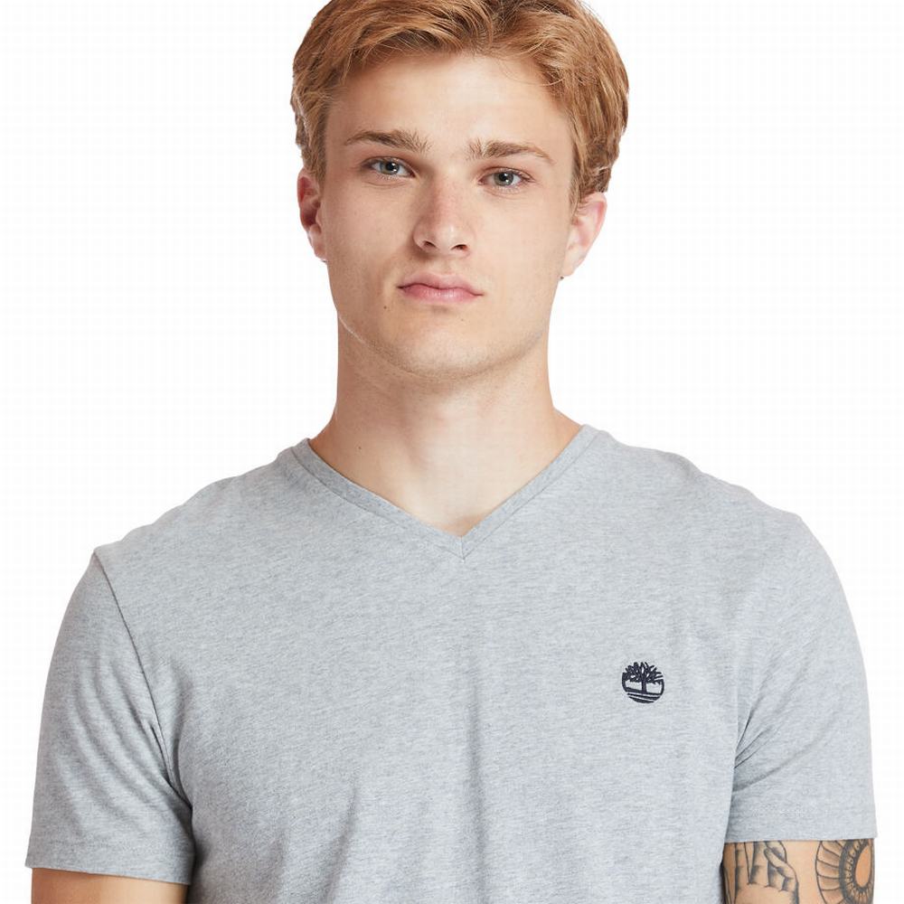 Tricko Timberland Dunstan River V-Neck T-Shirt Panske Siva | FD6031798