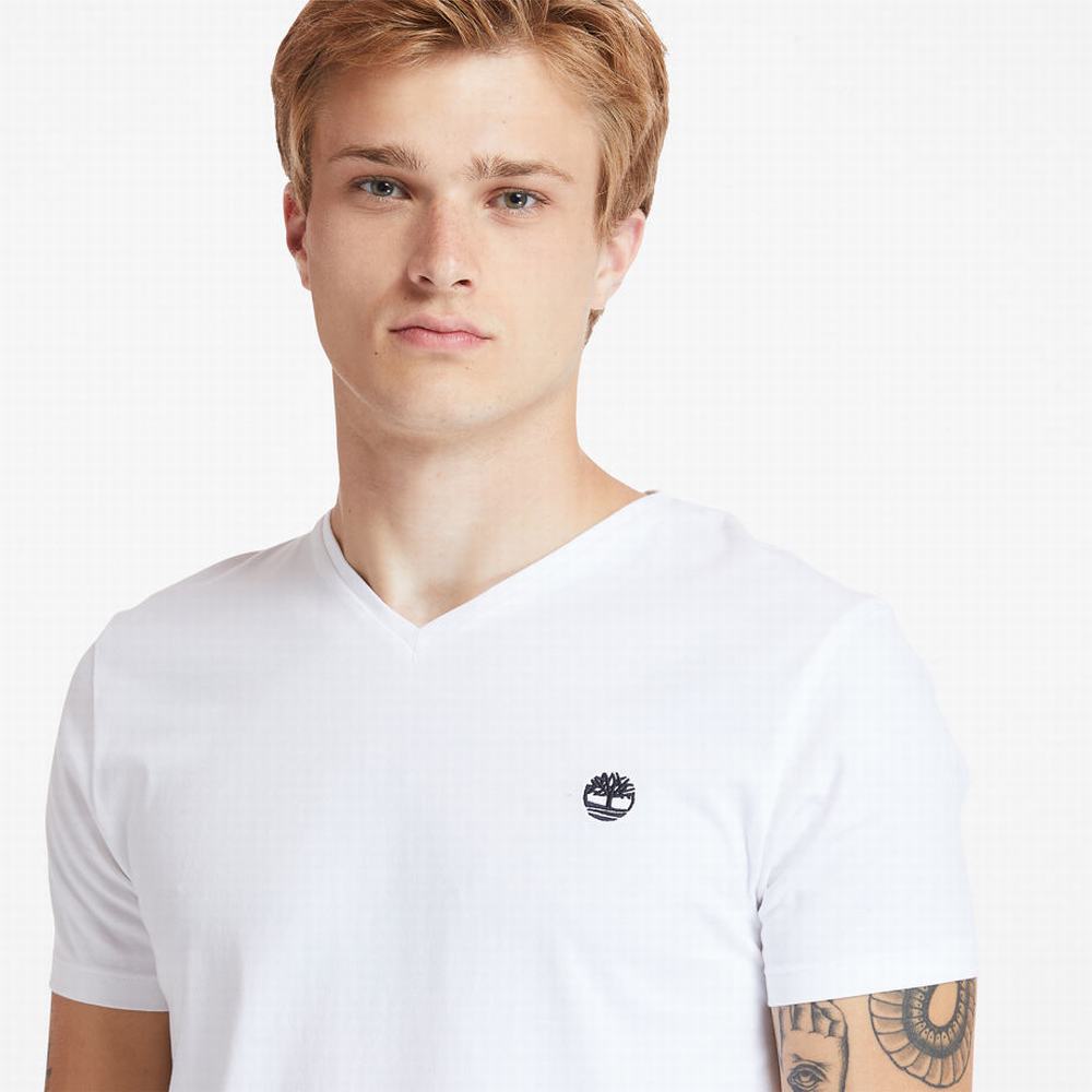 Tricko Timberland Dunstan River V-Neck T-Shirt Panske Biele | UE2714963