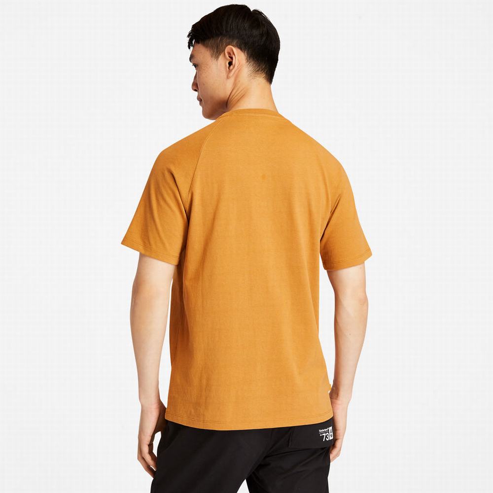 Tricko Timberland Heavyweight Logo T-Shirt Damske Žlté | IC5793016