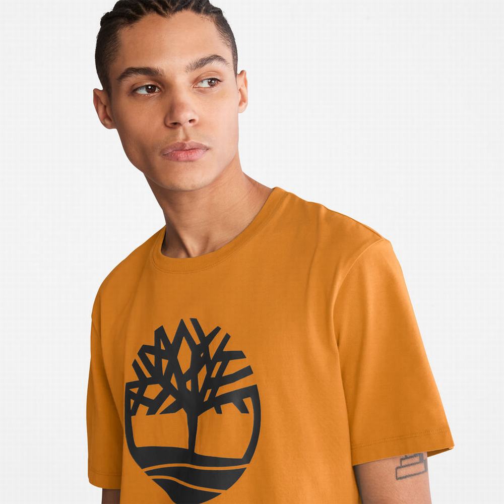 Tricko Timberland Kennebec River Tree Logo T-Shirt Panske Žlté | FD3601725