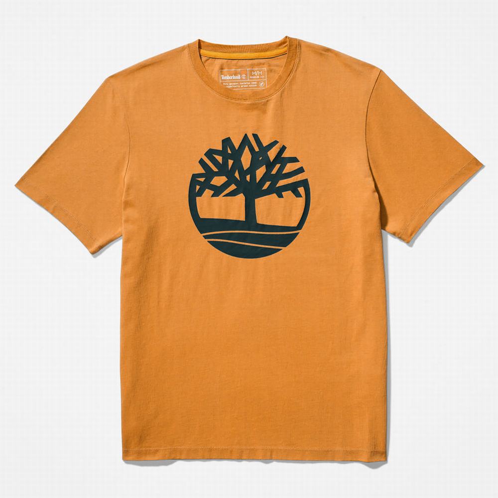 Tricko Timberland Kennebec River Tree Logo T-Shirt Panske Žlté | FD3601725