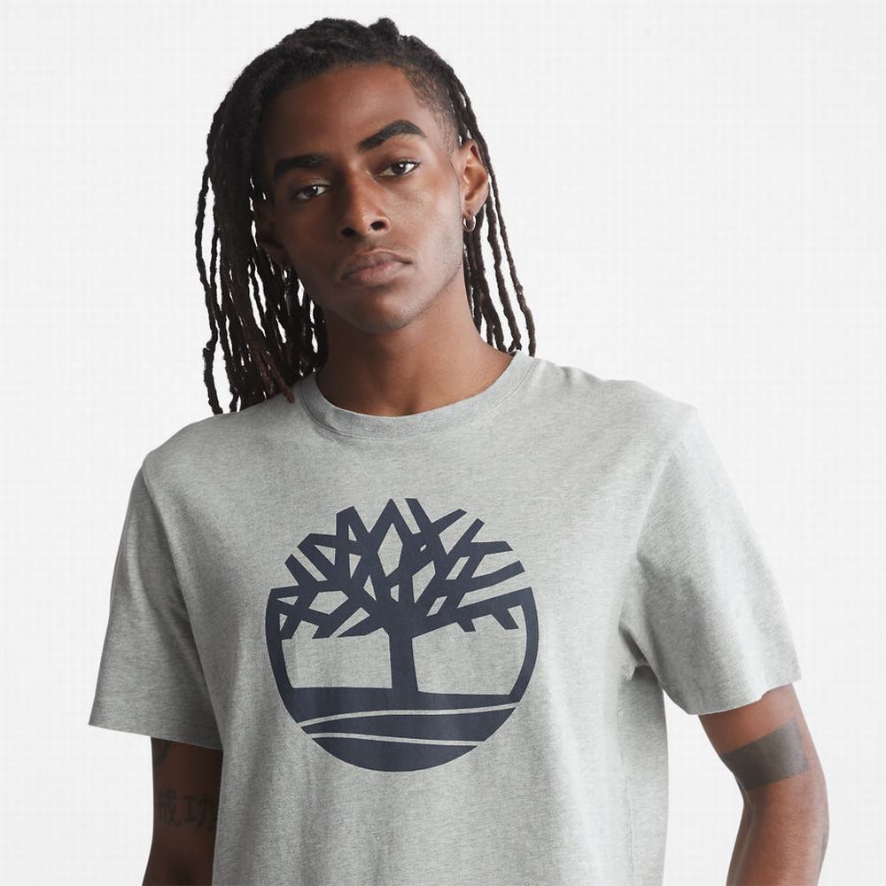 Tricko Timberland Kennebec River Tree Logo T-Shirt Panske Siva | GT1753968