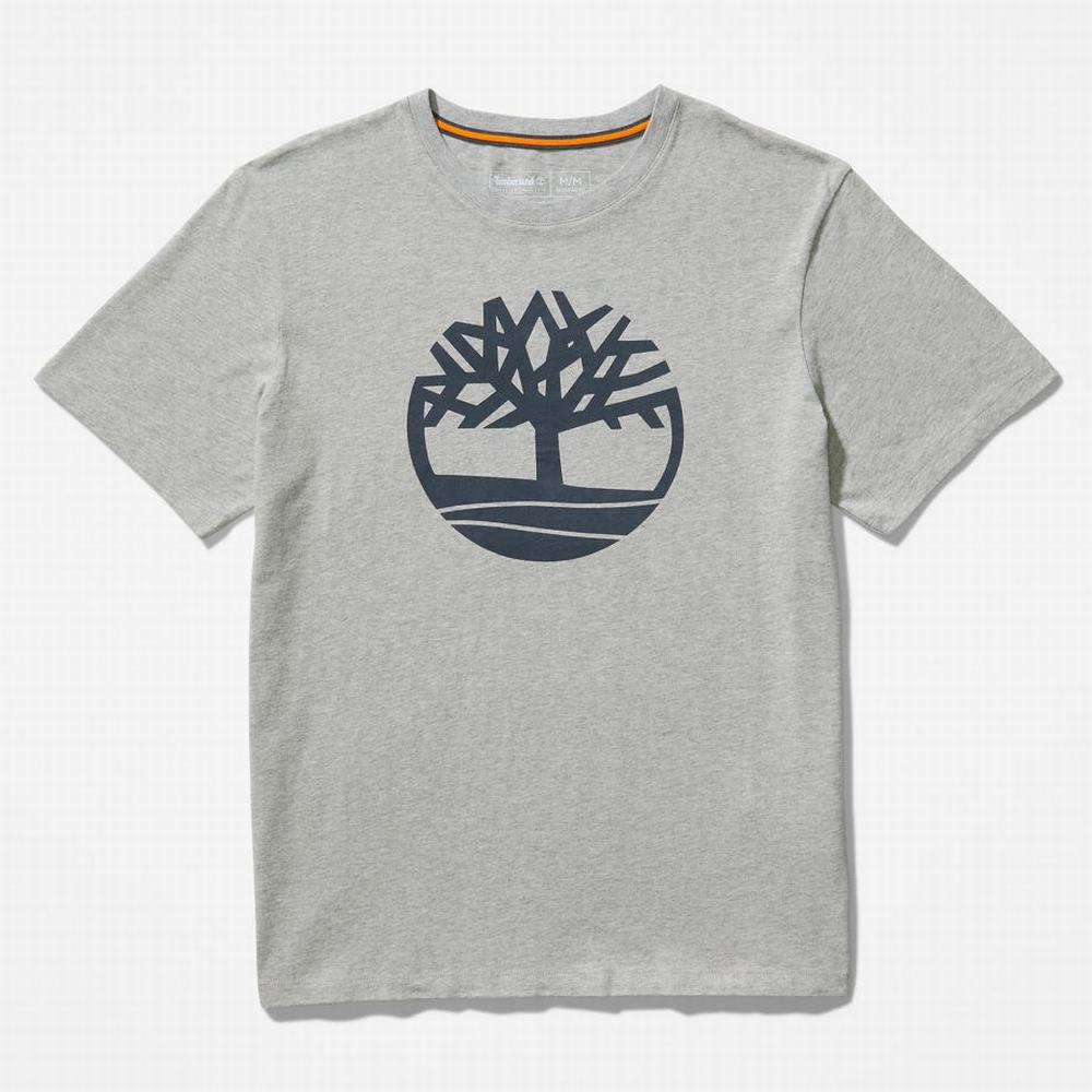 Tricko Timberland Kennebec River Tree Logo T-Shirt Panske Siva | GT1753968