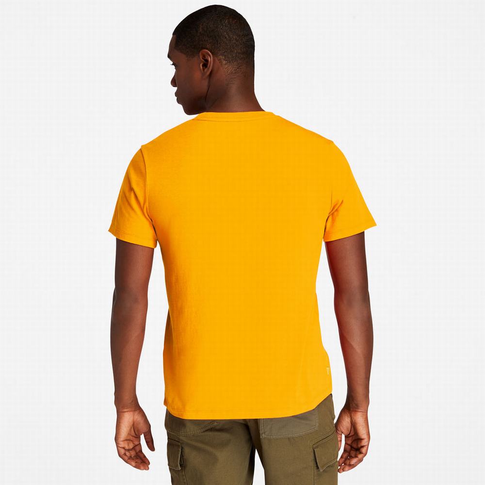 Tricko Timberland Kennebec River Tree Logo T-Shirt Panske Oranžové | OR3167905