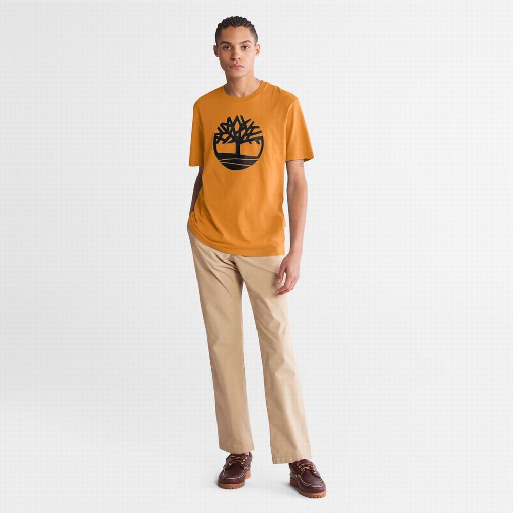 Tricko Timberland Kennebec River Tree-Logo Tee Panske Hnede | SB3147502