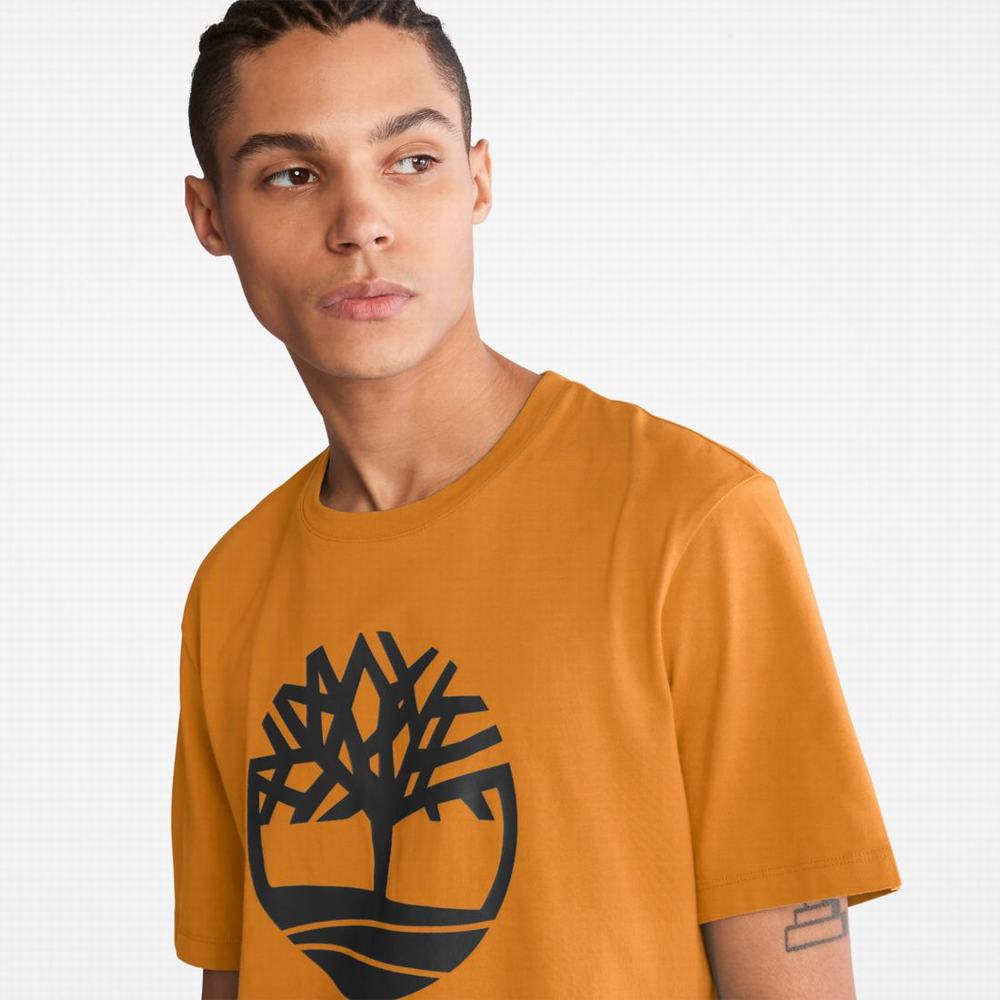 Tricko Timberland Kennebec River Tree-Logo Tee Panske Hnede | SB3147502