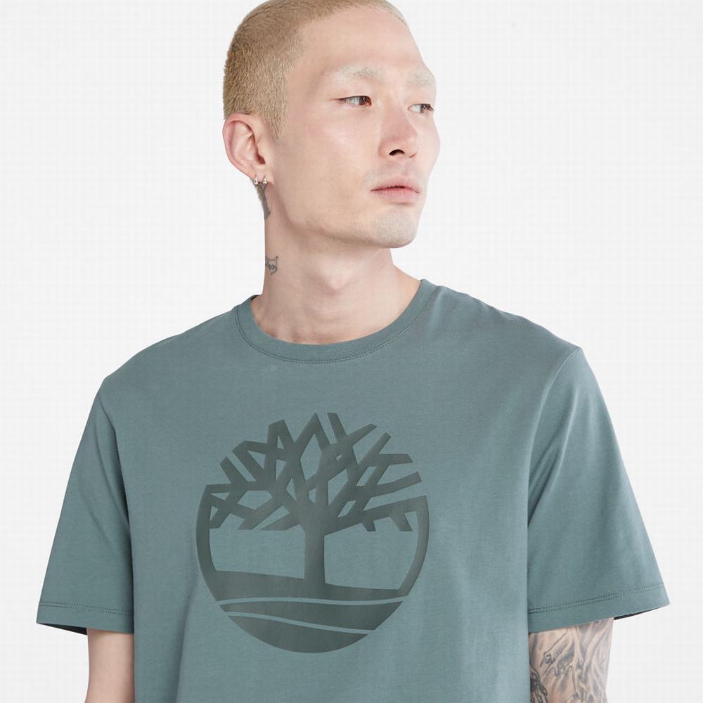 Tricko Timberland Kennebec River Tree-logo T-Shirt Panske Zelene | UX0865732